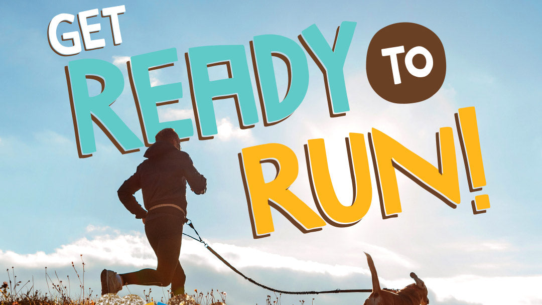 Focus On: The Importance Of Protein In Your Marathon Training Diet