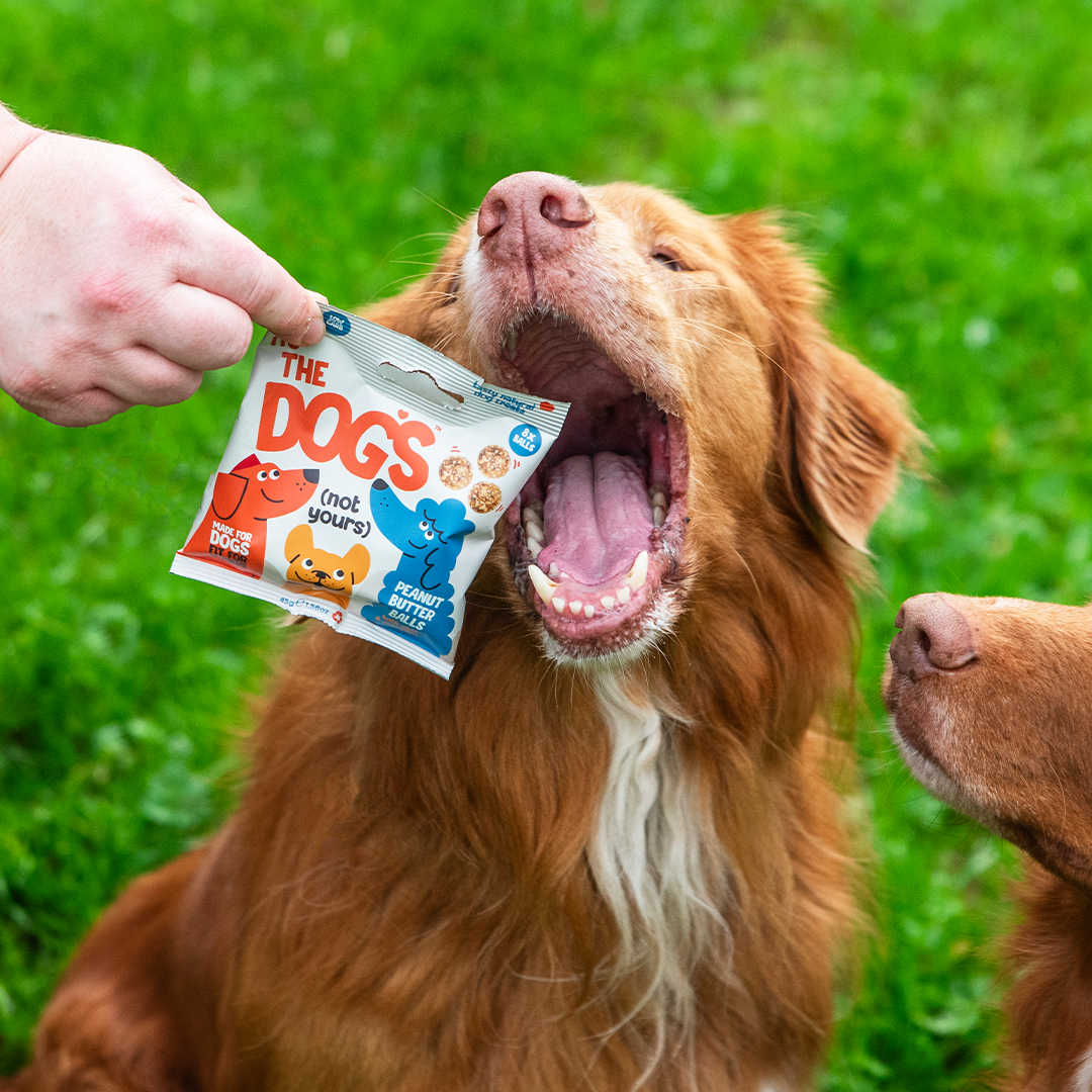 It's The Dogs - Tasty, natural dog treats - 3 x 45g Multipack