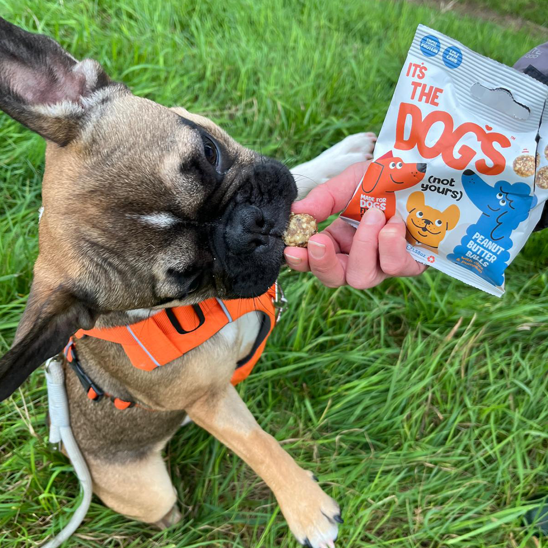 It's The Dogs - Tasty, natural dog treats - 3 x 45g Multipack