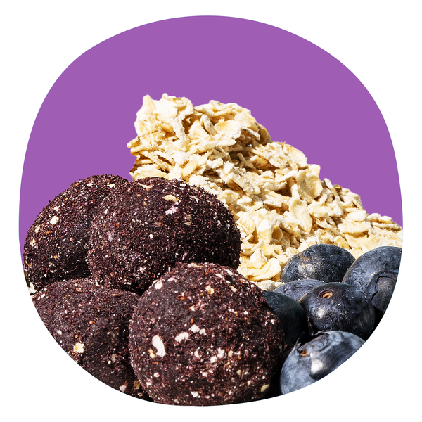 Blueberry Oat Muffin Protein Balls (Vegan)